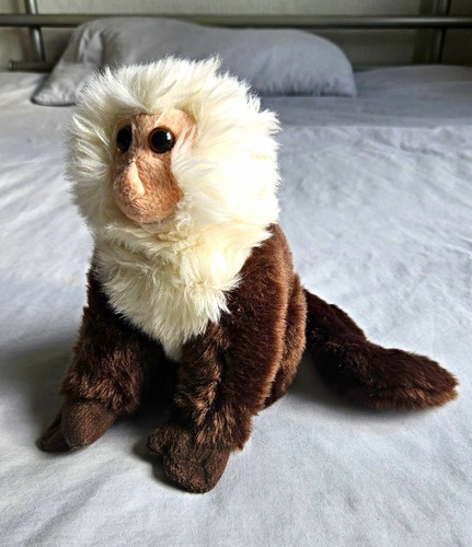 Capuchin monkey soft - capuchin,