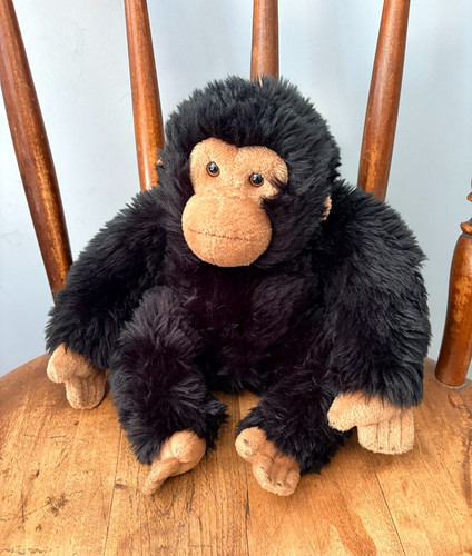 Nature planet chimpanzee 12ins - planet,
