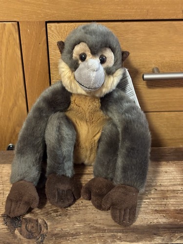 Official bbc earth monkey - bbc,