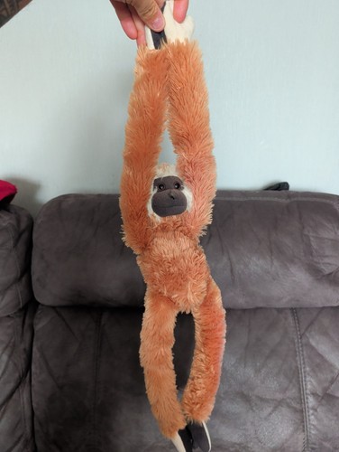 Hanging monkey plush from - hanging,