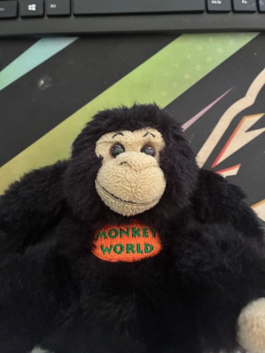 Monkey world cuddly toy - , of