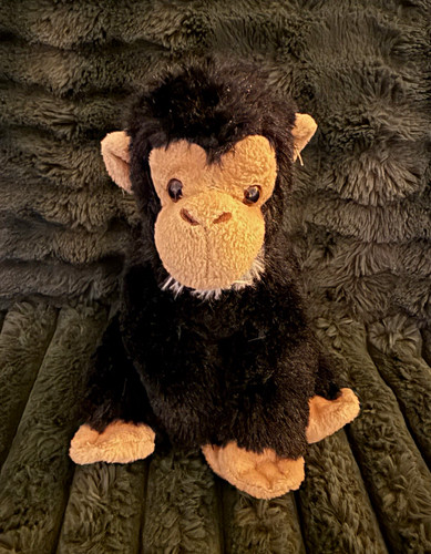 Wild republic chimpanzee - wild,