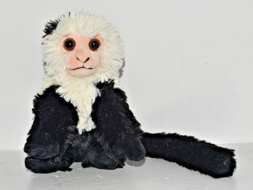 Wild republic capuchin - republic,
