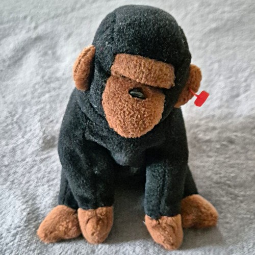 Beanie babies congo monkey - ty,