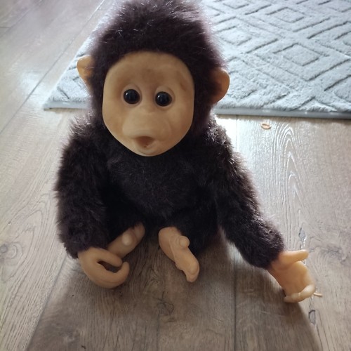 Vintage hosung monkey - monkey, chimp