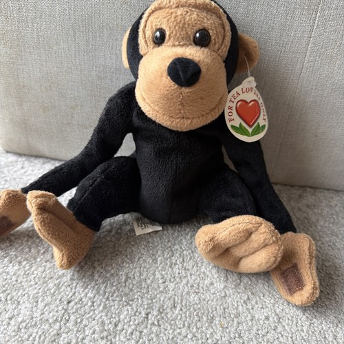 Tips baby monkey chimpanzee - baby,