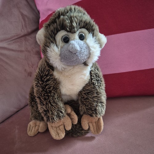 Nature planet squirrel monkey - planet,