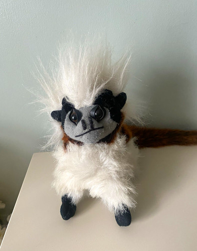 Plush capuchin monkey - , toy