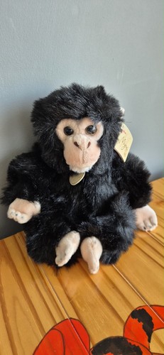 Aurora miyoni tots chimpanzee - miyoni,