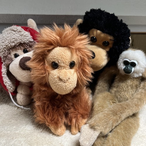 Bundle monkey plush - bundle, teddys