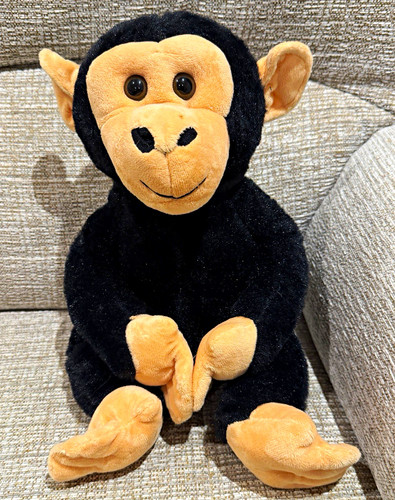 Fun leisure chimpanzee - fun, monkey