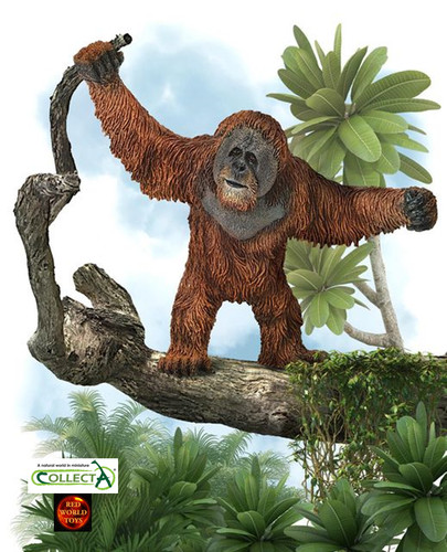 Orangutan ape monkey toy model - orangutan,