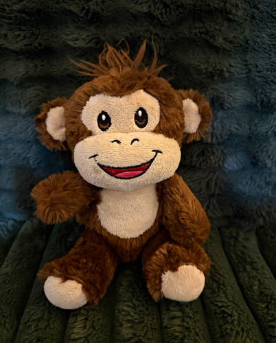 Build bear workshop buddies - workshop,