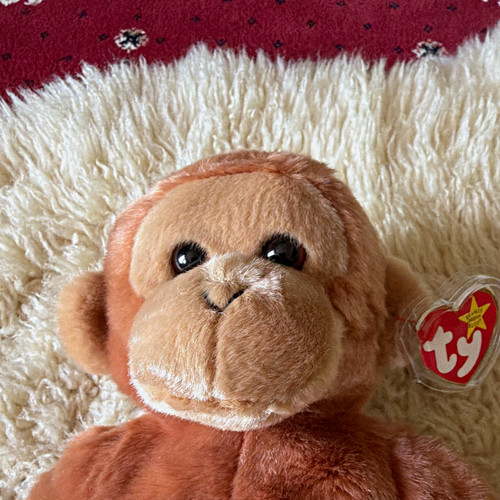 Beanie babies bongo - bongo, monkey