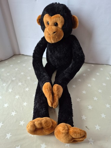 Hanging black chimpanzee - chimpanzee, /
