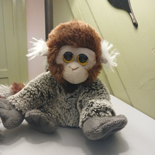 Nature planet cute monkey - planet,